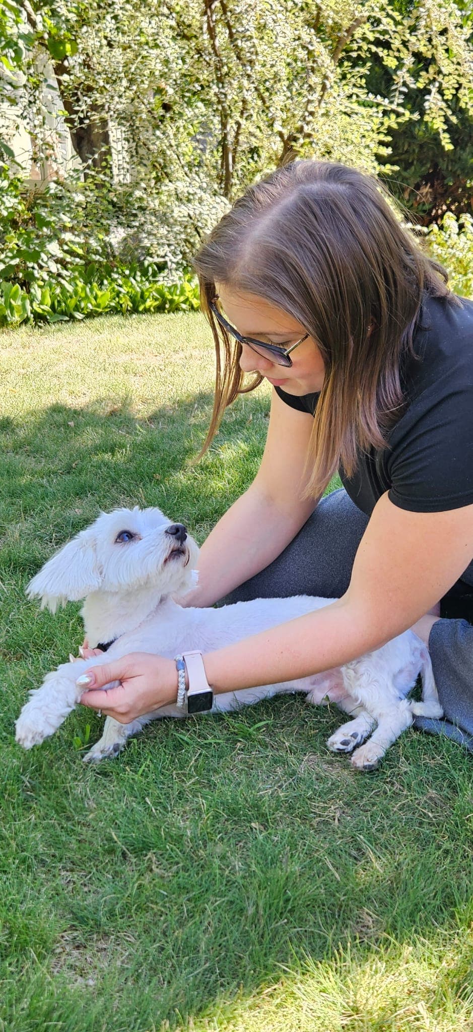 Morgane Pinson, ostéopathe animalier, lors d'une séance avec un chien à domicile à Colmar